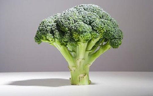 1000 Organic DE CICCO BROCCOLI Di Cicco Brassica Oleracea Capitata Vegetable Seeds