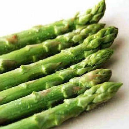 125 ASPARAGUS UC72 Officinallis Mary's Grandaughter Vegetable Seeds