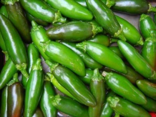 200 Hot SERRANO TAMPIQUENO PEPPER Mexican Chile Capsicum Annuum Vegetable Seeds