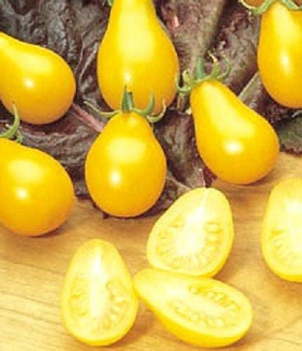 300 YELLOW PEAR TOMATO Lycopersicon Lycopersicum Fruit Vegetable Seeds