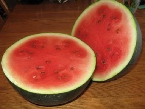 100 SUGAR BABY WATERMELON Citrullus lanatus Fruit Melon Seeds