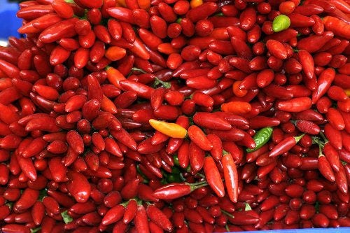 300 ANAHEIM CHILI PEPPER (New Mexico Chili Pepper) Capsicum Annuum Vegetable Seeds