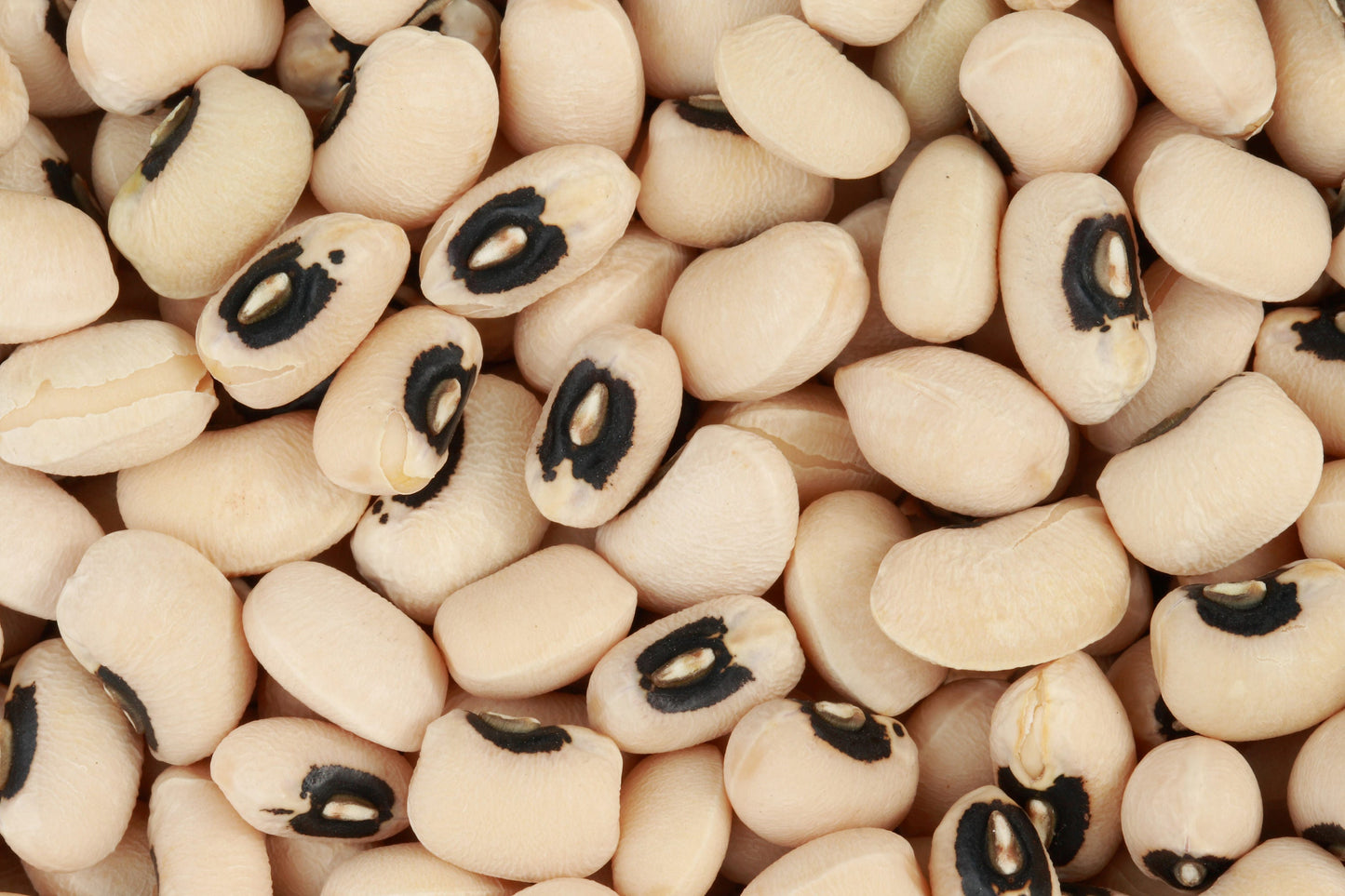 100 BLACKEYE PEA (Cow Pea / Cowpea / Southern Pea / Blackeyed Pea / Black Eye Pea) Vigna Unguiculata Vegetable Seeds