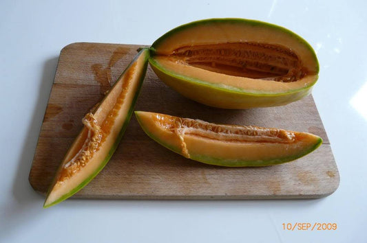 50 BANANA CANTALOUPE Melon Fruit Cucumis Melo Seeds