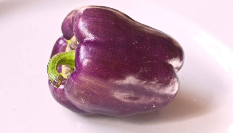 75 PURPLE BEAUTY PEPPER ( Sweet Mild Bell ) Capsicum Annuum Vegetable Seeds