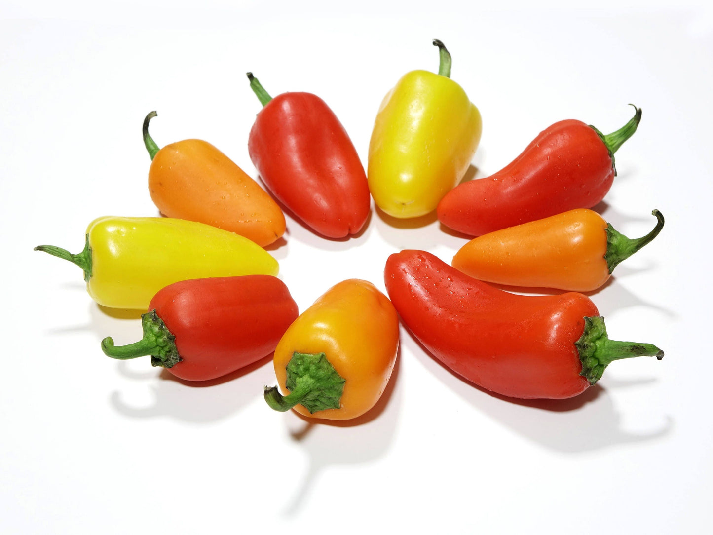 200 SANTA Fe GRANDE PEPPER (Guero Chili Pepper / Yellow Hot Chili Pepper) Capsicum Annuum Vegetable Seeds