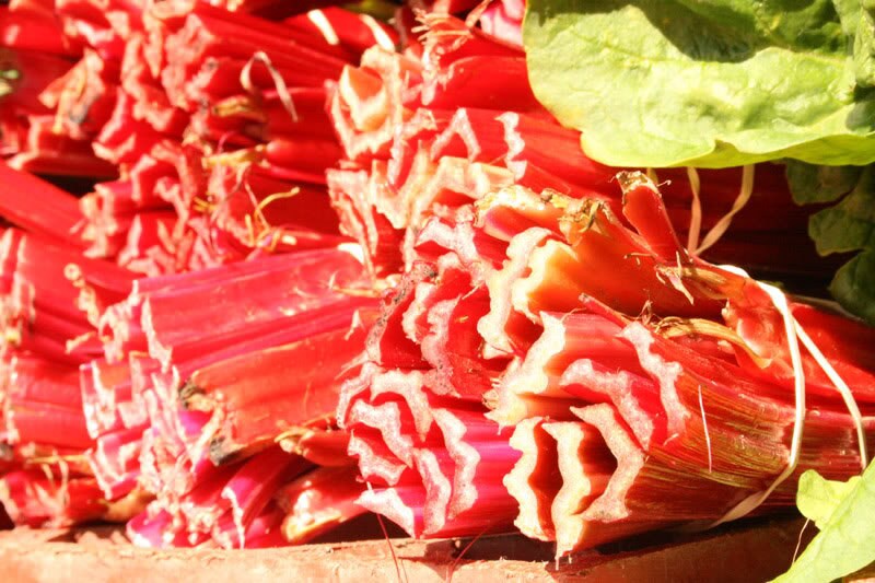 500 Organic REDVENTURE CELERY Apium Graveolens Herb Vegetable Seeds Stalk Red - Golden Pink w/Green Leaves