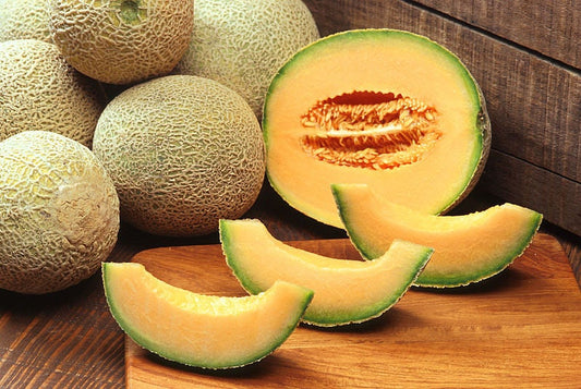 200 HALE'S Best JUMBO CANTALOUPE Orange Muskmelon Cucumis Melo Melon Fruit Seeds
