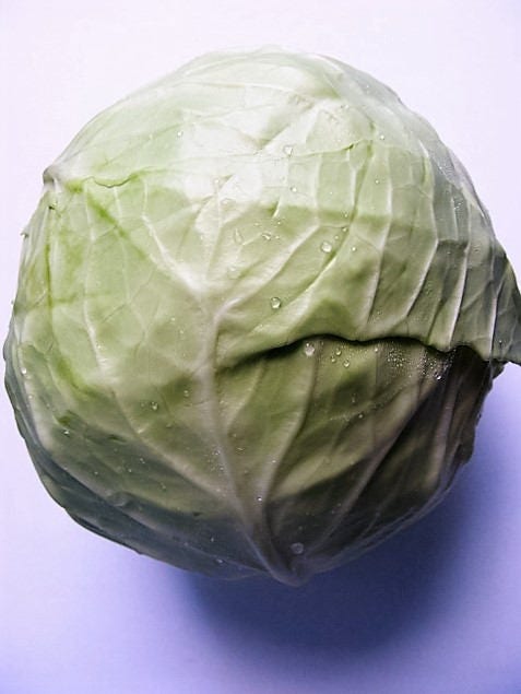 500 COPENHAGEN MARKET Early CABBAGE Heirloom Brassica Oleracea Vegetable Seeds