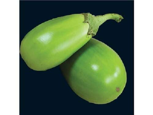 25 APPLEGREEN EGGPLANT Green Fruit / Vegetable Solanum Melongena Seeds