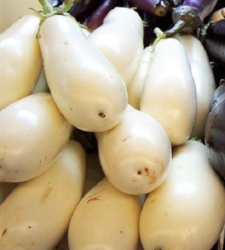 50 CASPER WHITE EGGPLANT Solanum Melongena Fruit / Vegetable Seeds