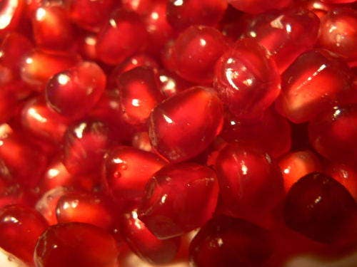 25 POMEGRANATE TREE Punica Granatum Red Fruit Seeds