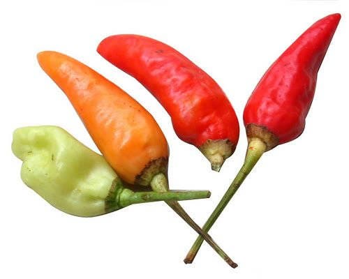 30 BIRDS Eye CHILI PEPPER (Chiltepin Pepper) Capsicum Frutescens Vegetable Seeds