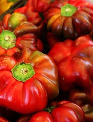 100 PIMENTO PEPPER (Red Sweet Pimientio / Italianelle / Cheese, Roasting, Frying Pepper) Capsicum Annuum Seeds