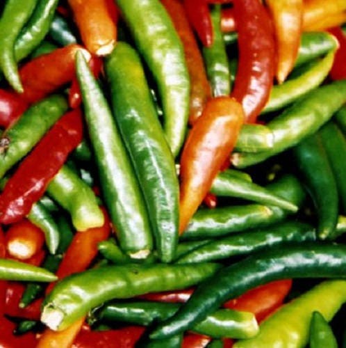 300 ANAHEIM CHILI PEPPER (New Mexico Chili Pepper) Capsicum Annuum Vegetable Seeds