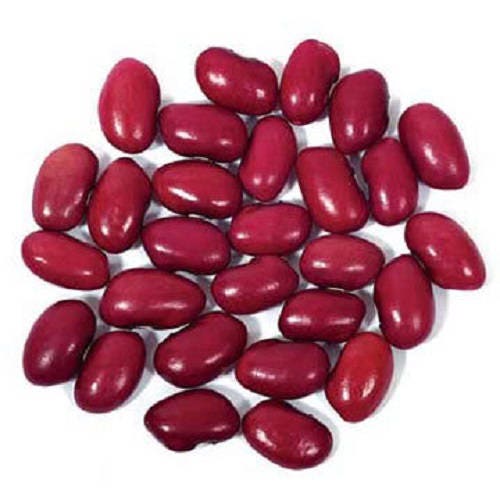 30 Red KIDNEY BEAN Phaseolus Vulgaris Vegetable Seeds