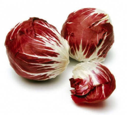 100 RADICCHIO DI TREVISO Radicchio Rose Vegetable Seeds