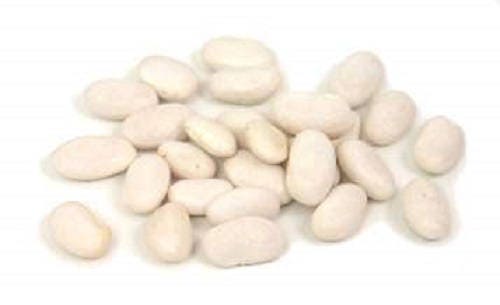 50 White GREAT NORTHERN BEAN Bush Phaseolus Vulgaris Vegetable Seeds