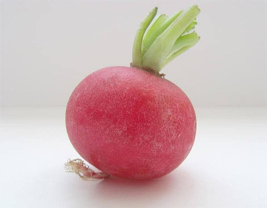 2000 CRIMSON GIANT RADISH Raphanus Sativus Vegetable Seeds