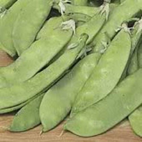 50 SNOW PEA Pisum Sativum Vegetable Seeds