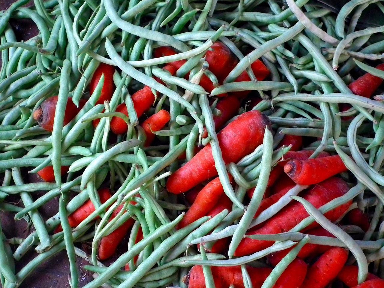 30 YARD LONG BEAN Asparagus Bean Cowpea Phaseolus Vulgaris Vegetable Seeds