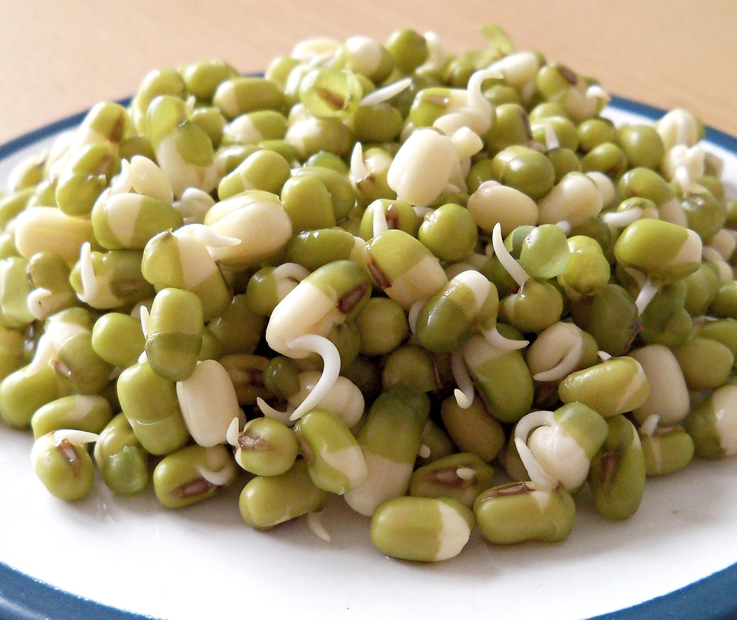 150 MUNG BEAN Moong Sprouts Golden Gram Green Vigna Radiata Vegetable Seeds