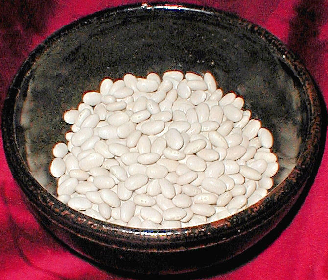 30 CANNELLINI BEAN Seeds White Italian Kidney Phaseolus Vulgaris Vegetable Seeds