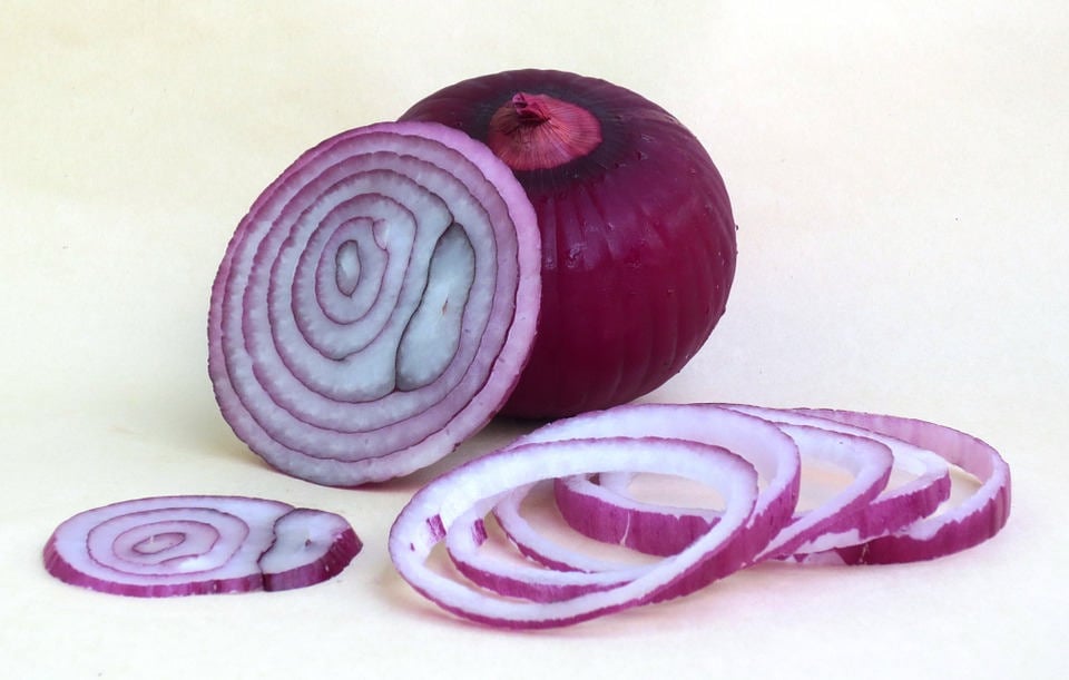 250 RED CREOLE ONION Spicy Cajun Short Day Allium Cepa Vegetable Seeds