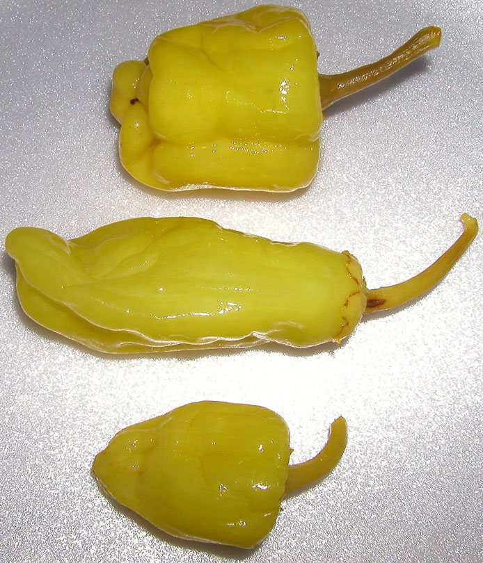 50 GREEK GOLDEN PEPPER Pepperoncini Gold Yellow Capsicum Annuum Vegetable Seeds