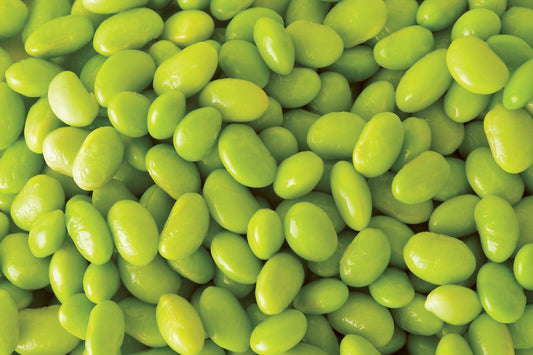 20 Edamame Green ENVY SOYBEAN Glycine Max Soy Bean Vegetable Seeds