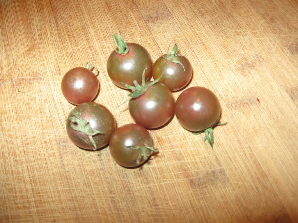 50 BLACK CHERRY TOMATO Black Skin Sweet Round Lycopersicon Fruit Vegetable Seeds