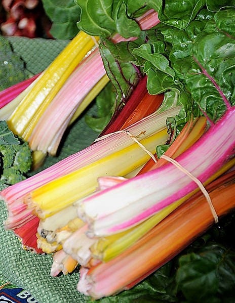 150 MIXED Colors Northern Lights SWISS CHARD (Perpetual Spinach) Beta Vulgaris Cicla Vegetable Seeds