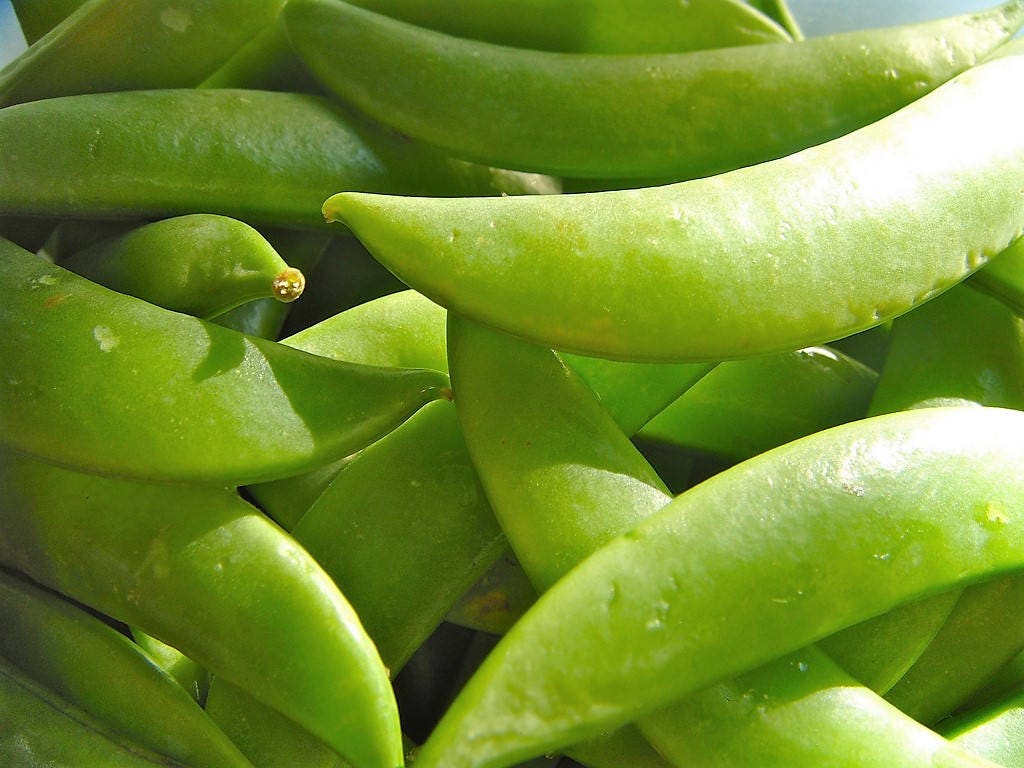 50 Super SUGAR SNAP PEA Pisum Sativum Macrocarpon Vegetable Seeds