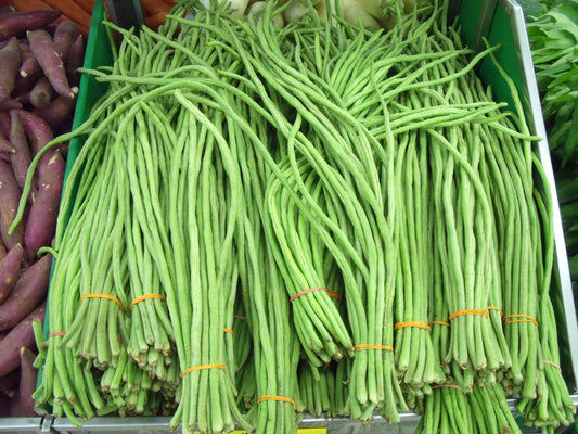 30 YARD LONG BEAN Asparagus Bean Cowpea Phaseolus Vulgaris Vegetable Seeds