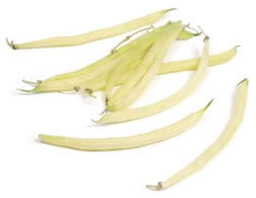 25 GOLDRUSH GREEN BEAN Bright Yellow Wax Bean Phaseolus Vulgaris Vegetable Seeds