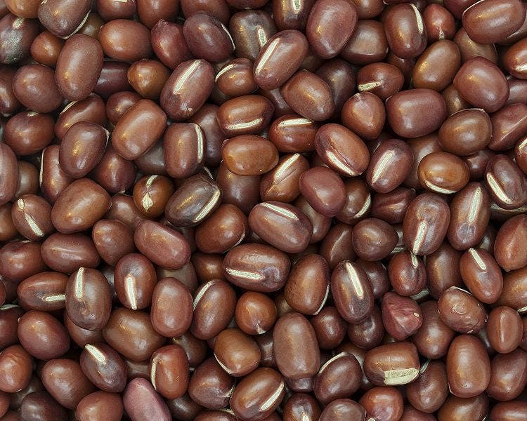 50 ADZUKI BEAN Aduki Red Bean Maroon Phaseolus Angularis Legume Vegetable Seeds