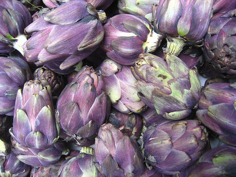 50 PURPLE ROMAGNA ARTICHOKE Italian Cynara Scolymus Flower Vegetable Seeds