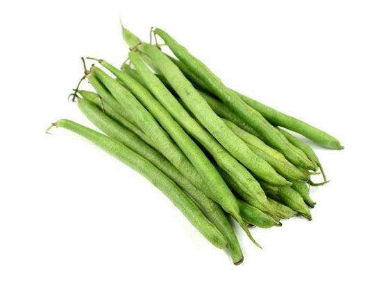 50 BURPEE STRINGLESS Green Pod BEAN French Phaseolus Vulgaris Vegetable Seeds