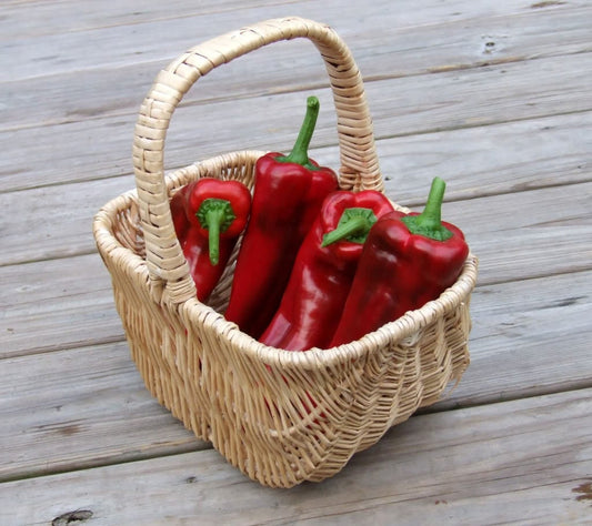 60 RED MARCONI PEPPER Rossa Large Sweet Italian Frying Capsicum Annuum Seeds