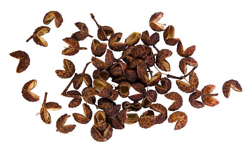 25 SZECHUAN PEPPER Peppercorn Sichuan Szechwan Zanthoxylum Bungeanum Spice Seeds