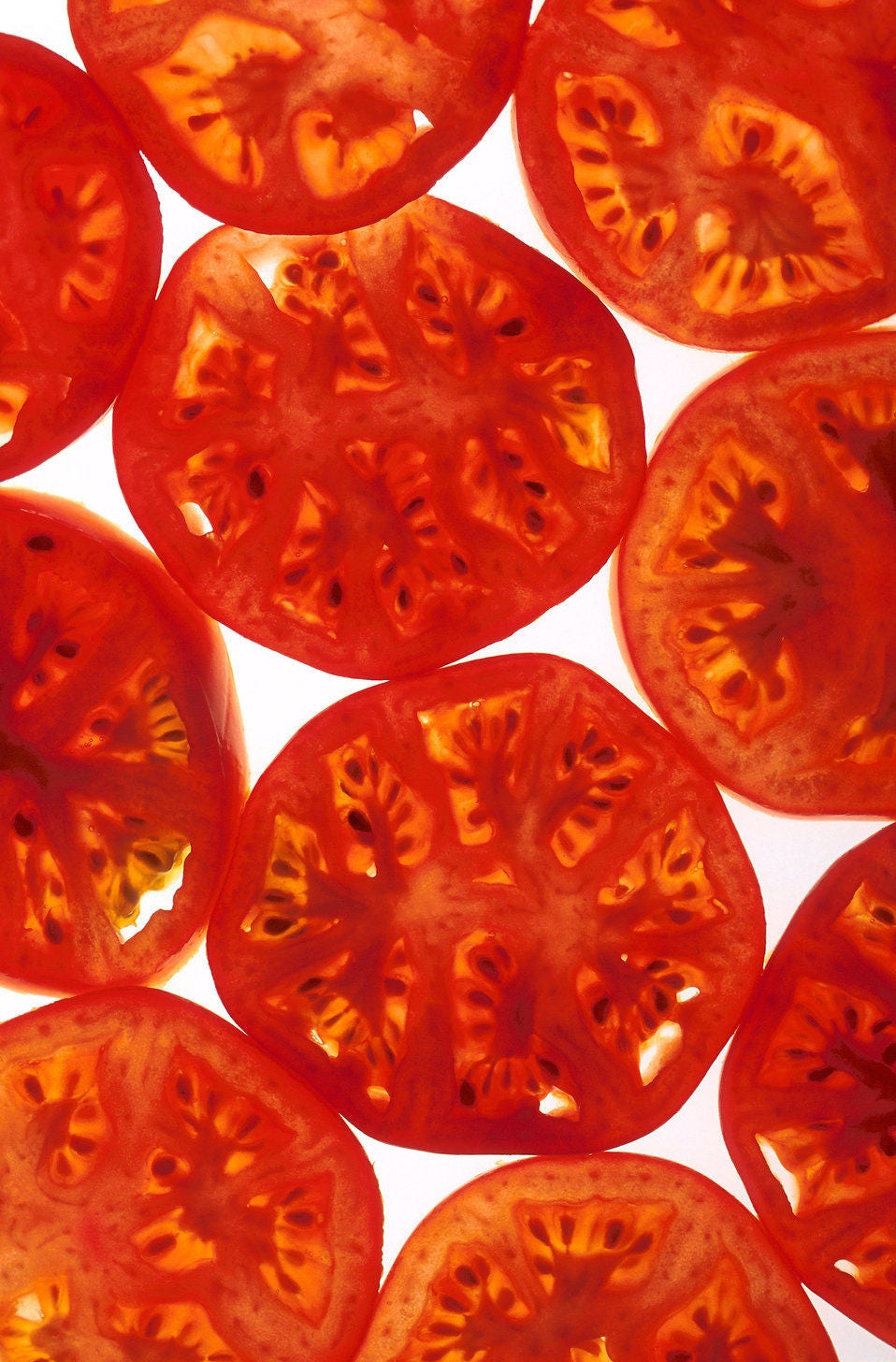 200 Red RUTGERS TOMATO Lycopersicon Globe Determinate 8 oz Fruit Vegetable Seeds