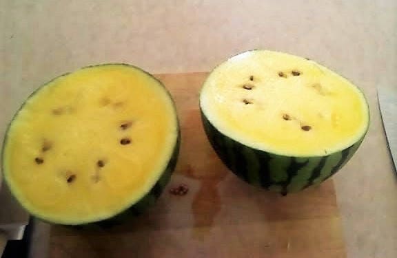 50 TENDERSWEET ORANGE WATERMELON Orange Flesh Citrullus Lanatus Fruit Melon Seeds