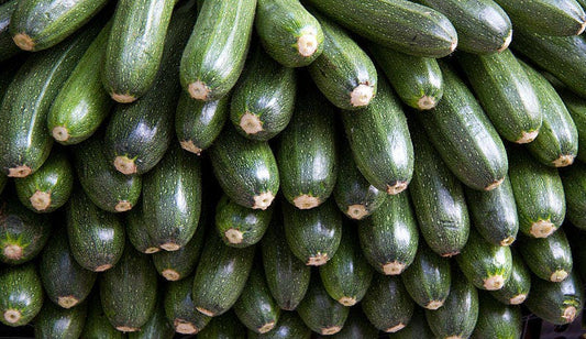 30 GRAY ZUCCHINI Heirloom Summer Bush Squash Cucurbita Pepo Vegetable Seeds