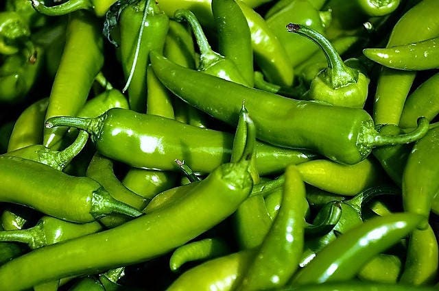 25 Organic KOREAN Dark GREEN PEPPER Lady Han Hot Chili Long Red Capsicum Annuum Seeds