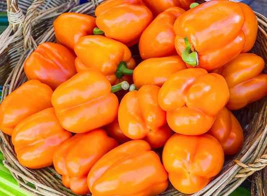 100 ORANGE King BELL PEPPER Sweet Capsicum Annuum Vegetable Seeds