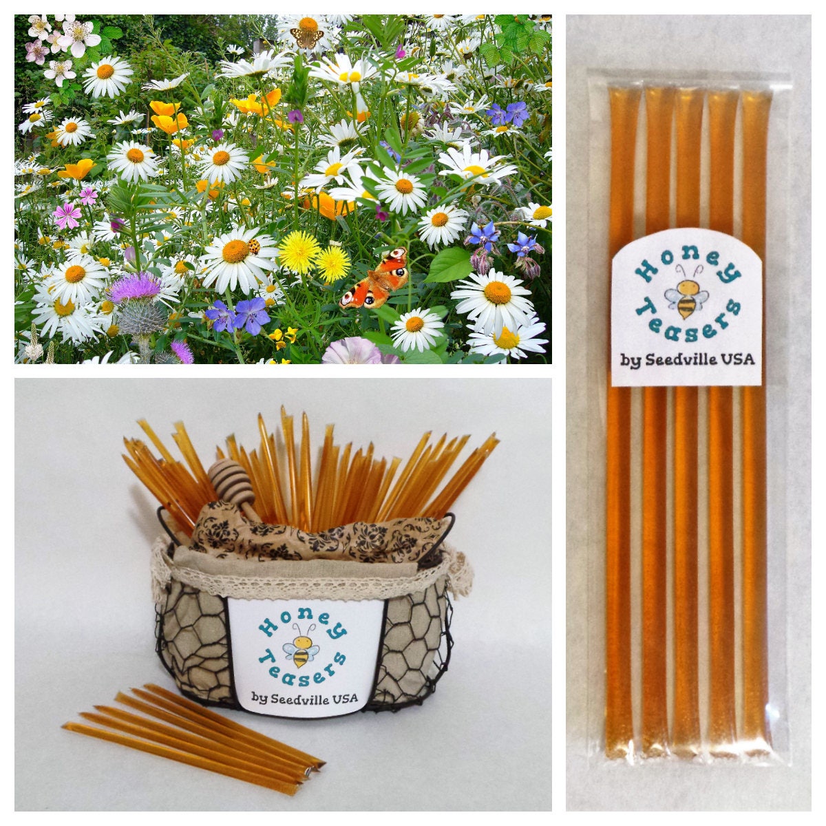 5 Pack WILDFLOWER Blossom HONEY TEASERS Natural Honey Snack Sticks Honeystix Straws