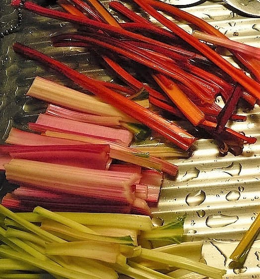 150 RAINBOW Mix SWISS CHARD Mixed Colors Beta Vulgaris Vegetable Seeds