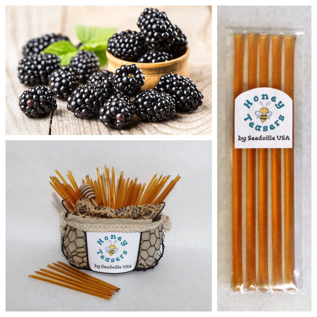 5 Pack BLACKBERRY Blossom HONEY TEASERS Natural Honey Snack Sticks Honeystix Straws