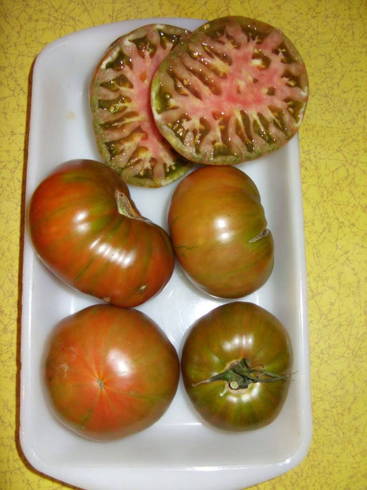 50 CHOCOLATE STRIPES TOMATO Brown with Green Lycopersicon Fruit Vegetable Seeds