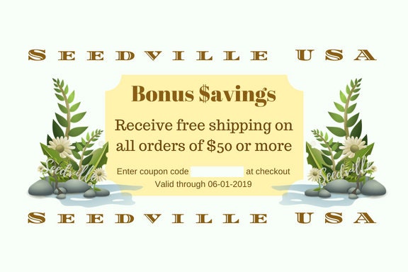 Seedville USA Shop Gift Certificate - Ferns Rock Design - By Email or Postal Mail - You Choose Amount
